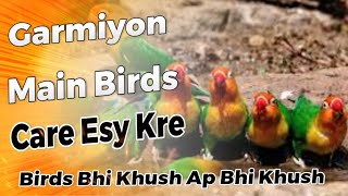 How To Care Birds In Summer | Garmiyon me Birds ko kesy care kre