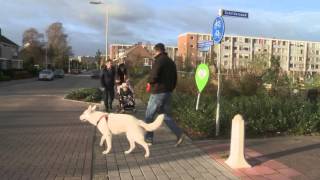 centrumxpeditie Capelle aan den IJssel