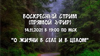 Воскресный стрим - О психологии, религии, энергетических центрах и бесконтактном бое.