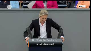 Alice Weidel (AfD) -Schonungslos zu der Ampel-Regierung