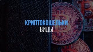 Виды криптокошельков