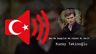 Sen Ne Aşağılık Ne Zibidi Bi Herif Oldun Lan - Kuzey Tekinoğlu - Ses Efekti