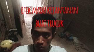 #trucuk_deso EFEK MADU KEJANTANAN buat trucuk