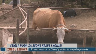 Stigla voda za žedne krave i konje na Suvoj planini