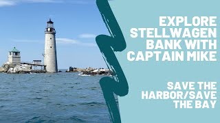 Conservation & Sustainability at Stellwagen Bank | Save the Harbor/Save the Bay