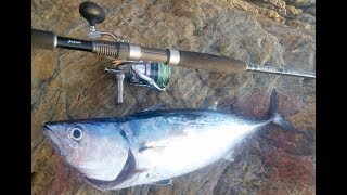 Yazılı Orkinos Avı Shore Jigging for Little Tunny - Live Strike