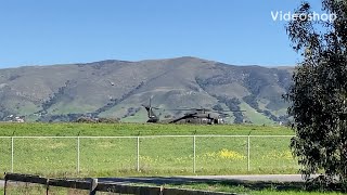 Black Hawk Helicopters at SLO Airport 2-25-24