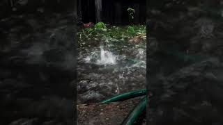 Relaxing rain sounds for anxiety shorts Free Footage no Copyrigt Video #asmrrain #rain #rainsounds