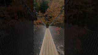 Walking on a suspension bridge