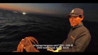 Fishing Korea - Sampinganku Mancing Cumi | Abk Semang Jeju