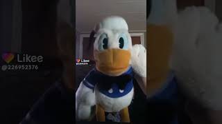 Donald duck | Compilation Donald duck