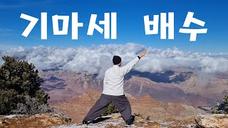 169. 배수(손등)로 밀기(후면)  ㅣ양생 기화법 ㅣ국선기공 ㅣ기초동작 ㅣ기마자세 ㅣKouksundo ㅣKi gongㅣQi gongㅣBasic movement