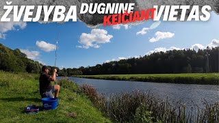 Žvejyba dugnine keičiant vietas