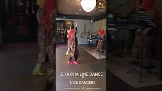 Chacha Dancing - Nice Dancer part 1 #shorts #dancing #chacha