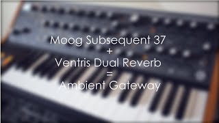 Moog Subsequent 37 + Ventris Dual Reverb = Ambient Gateway