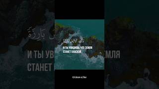 Сура Аль-Кахф аяты 47-49.Чтец:Мухаммад Люхайдан #quran #islam #shorts