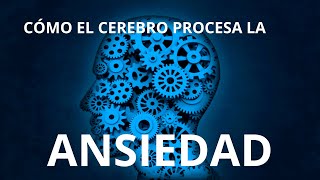 Cómo el Cerebro Procesa la ANSIEDAD y sus NEUROTRANSIMORES