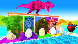 Color Slide Game With Elephant Cow lion Bear - 3d Animal Game - Funny 3d Animal