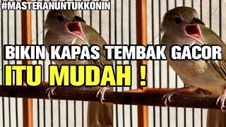 TERNYATA BIKIN KAPAS TEMBAK GACOR ITU MUDAH ! GA USAH PUSING.#MASTERANUNTUKKONIN