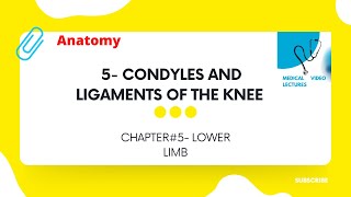 Condyles and Ligaments of the Knee | CHAPTER#5- LOWER LIMB