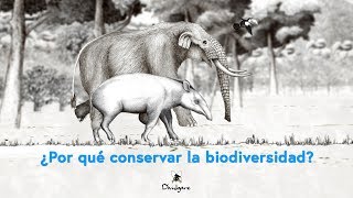 ¿Por qué conservar la biodiversidad?