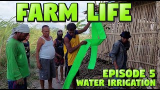 Farn Life Episode 5: Water Irrigation