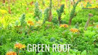 Rooftop Living and Green Roof (Birmingham, MI) - Inhabitect, LLC