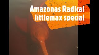 Aventuras no Amazonas - Little max special