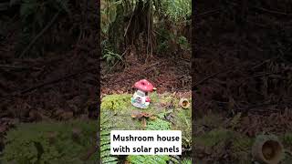 Mushroom Houses. Otway Fly Treetop Forest.