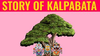 Kalpabata Tree Mystery🌳 କଳ୍ପବଟ ବୃକ୍ଷ ତଳେ ବସିଲେ କଣ ହୁଏ ?