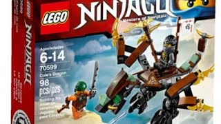 LEGO Cole's Dragon Review (Set 70599)