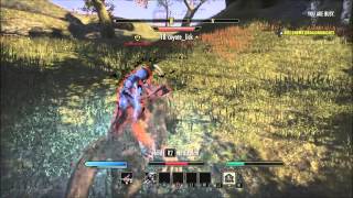 The Elder Scrolls Online PvP Stamina Sorcerer First 1vX