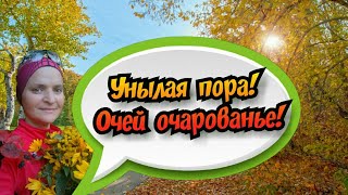 Унылая пора!  Очей очарованье! #ЛАРАзвезДА