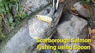 Salmon Fishing at Scarborough Highland Creek!