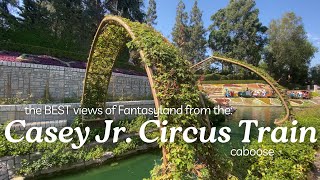 DISNEYLAND | amazing views of Fantasyland from the best seat on Casey Jr. Circus Train  🚂🏔️