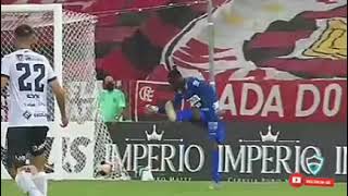 Flamengo 1 x 1 Volta Redonda/ gols/ melhores momentos / campeonato carioca