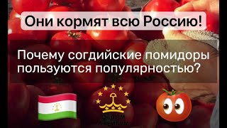 Эти таджикские помидоры кормят всю Россию!