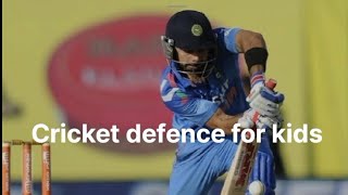 cricket defence for kids