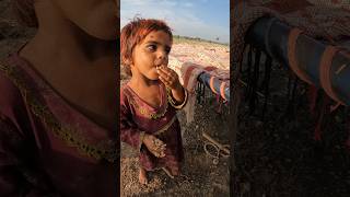 cute camel children eating breakfast