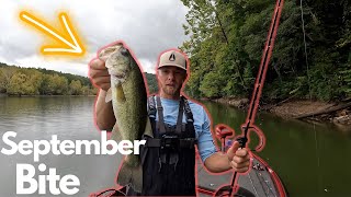 Bass fishing Norris lake September 5, 2022