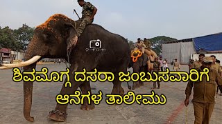 Shimoga ದಸರಾ 2023 Elephant Practice ಶಿವಮೊಗ್ಗ ದಸರಾ ಆನೆಗಳ ತಾಲಿಮು