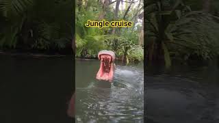 jungle cruise