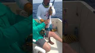 Blue Marlin fishing in ambergris Caye Belize