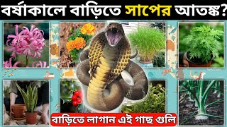 বর্ষাকালে বাড়িতে সাপের আতঙ্ক? এই গাছগুলি লাগালেই ধারের কাছেই আসবে না সাপ! Snake Repellent Plants