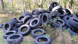 FOUND IN AUTUMN FOREST A LOT OF TYRE👀🍁🍂🍃НАШЛА ЦЕЛУЮ ГОРУ ШИН В ЛАТВИЙСКОМ ЛЕСУ