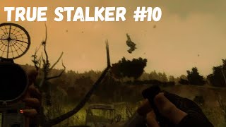 ТИХО С... И УШЕЛ, НАЗЫВАЕТСЯ НАШЕЛ! (Прохождение True Stalker #10)