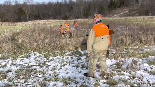 Youth pheasant hunt