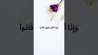 قورئان خوێن : یاسر الدروسي 💙