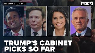 President-elect Donald Trump's cabinet picks so far