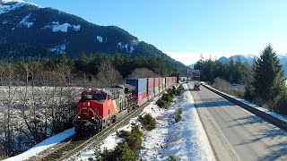 Bald Eagles Watching CN Container train heading west  - DJI Mini 2